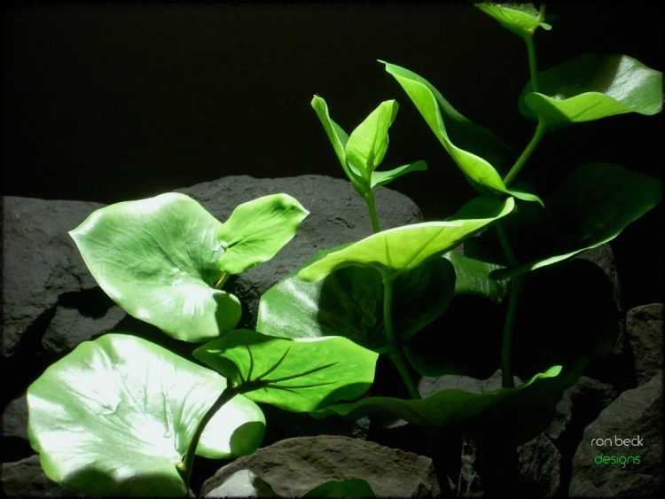green eucalyptus | silk reptile plants srp231 2 ron beck designs