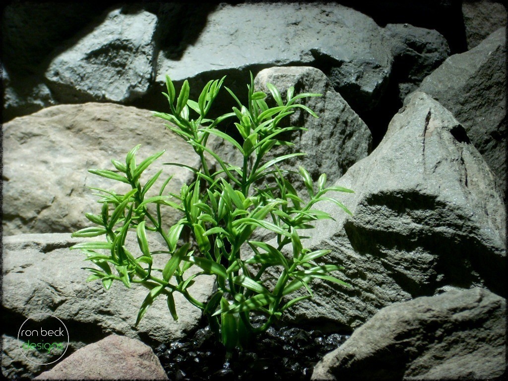 dwarf hygrophilia bush artificial aquarium plants pap235 2