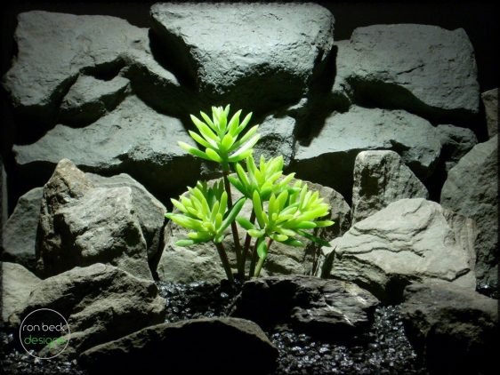 Succulent Echeveria Hookerii artificial reptile plant prp244