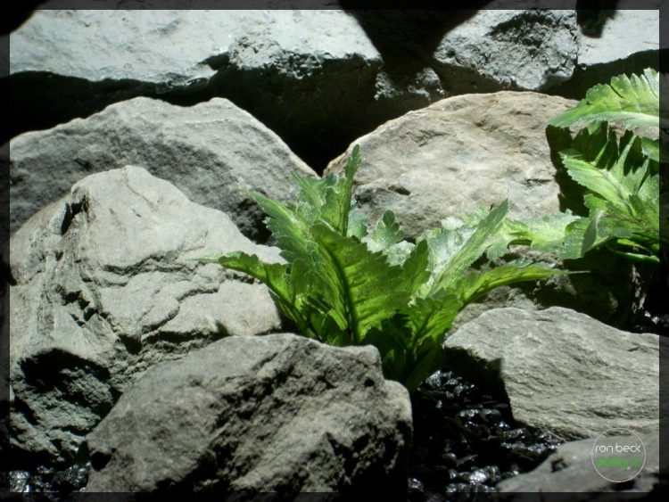 bracken ferns | silk reptile plants srp248 3 | ron beck designs