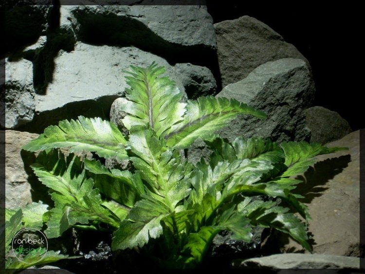 bracken ferns | silk reptile plants srp248 4 | ron beck designs