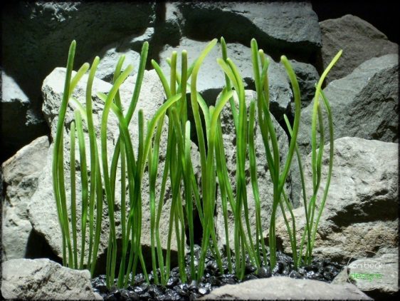 worm grass plastic aquarium plant plot pap237