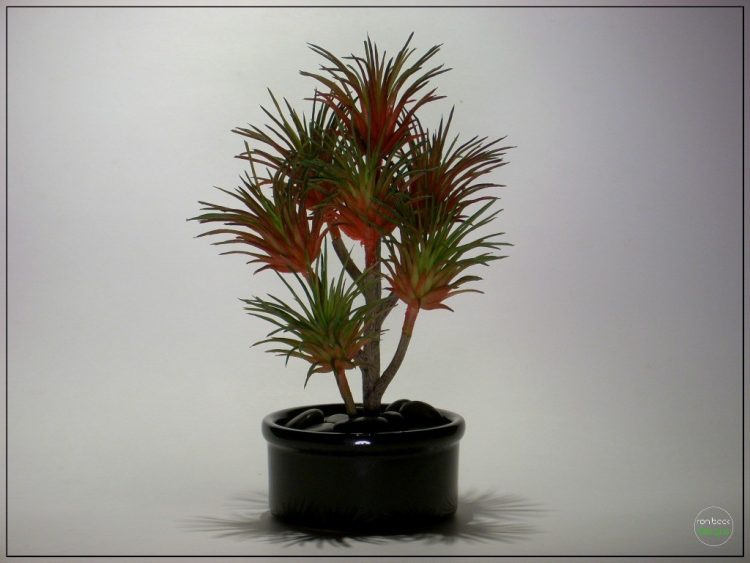 Artificial Succulent | Home Decor prs259