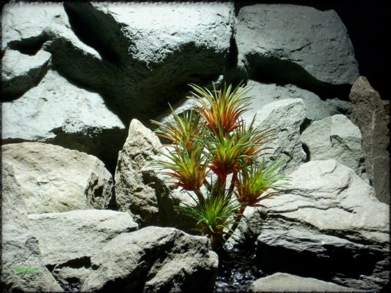 Artificial Tillandsia Plant (green & red) Artificial Reptile Plant prs259