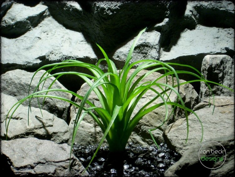 artificial plant: ponytail palm reptile plant decor prp253 2