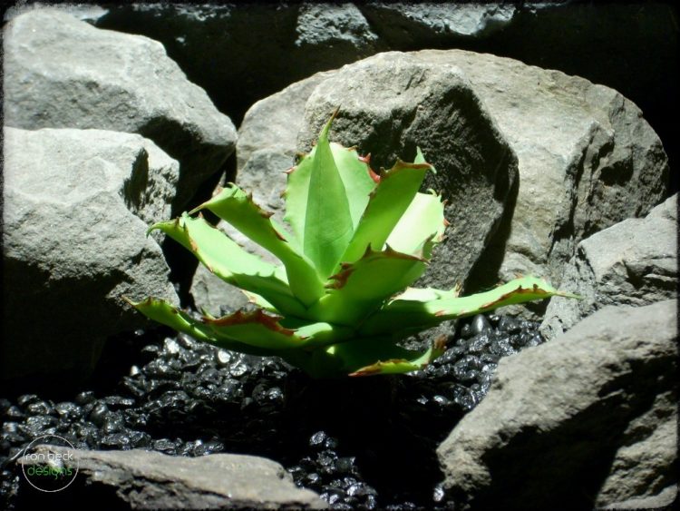 artificial succulent | artificial reptile plant fir bark trunk prp258 2