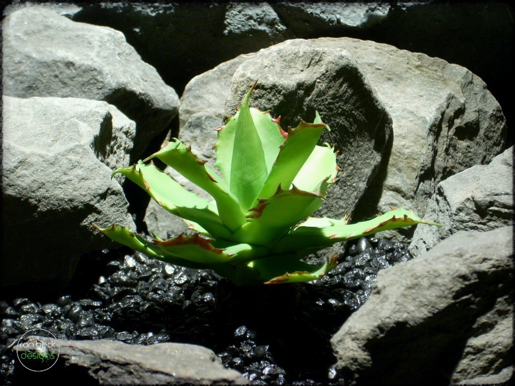 artificial Agave Parrasana | artificial reptile plant fir bark trunk prp258 2