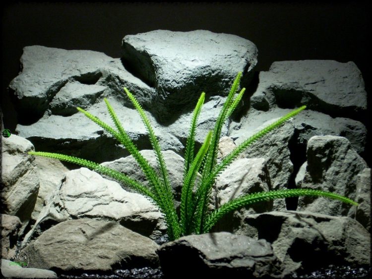Tail Grass | Artificial Aquarium Plant | Ron Beck Designs pap267