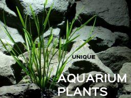 artificial aquarium plants | ronbeckdesignscom | ron beck designs 1080 1080