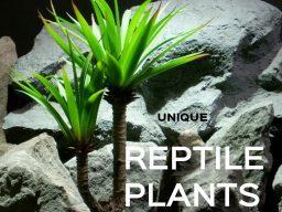 artificial reptile plants |ronbeckdesignscom | ron beck designs 1080 1080
