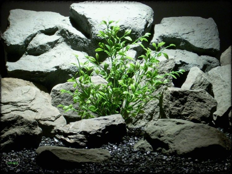 tea plant artificial aquarium plant pap262