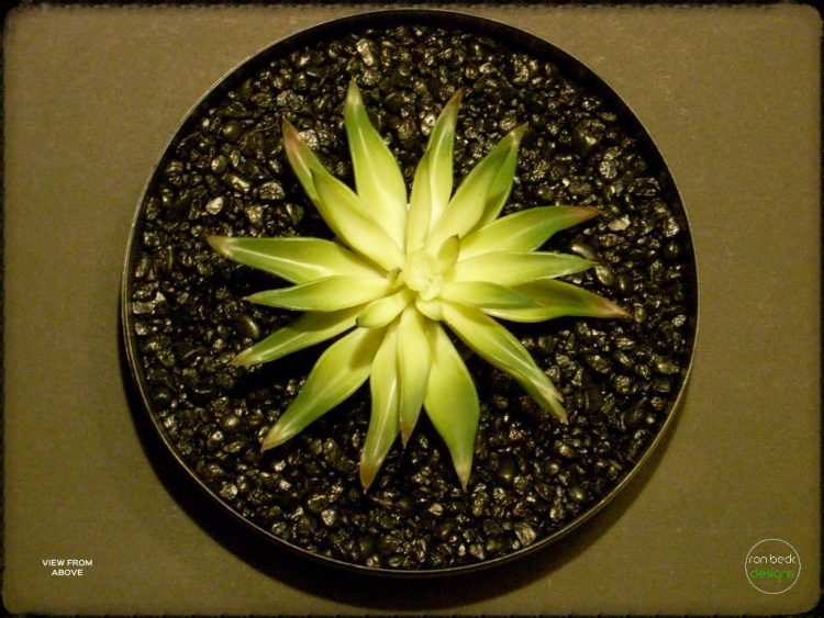 Agave Desmettiana Variegata Artificial Reptile Plant Succulent | ron beck designs prs270 3