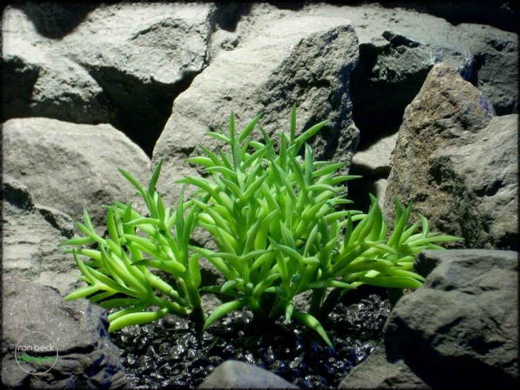 Kleinia senecio mandraliscae | Artificial Reptile Plant Succulent prs275 3