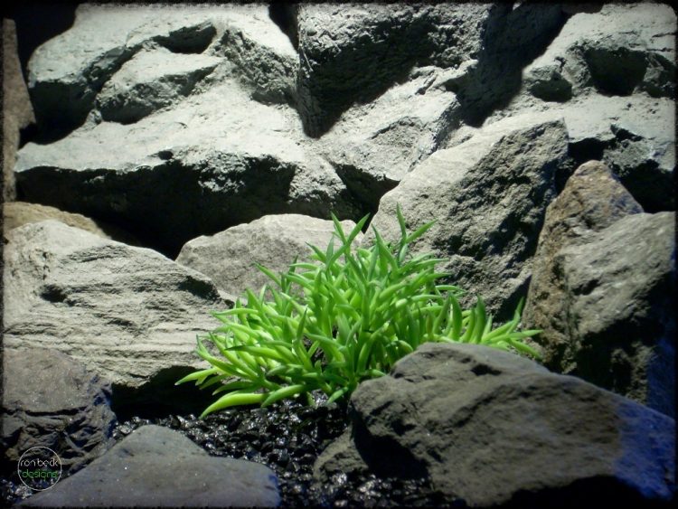 Kleinia senecio mandraliscae | Artificial Reptile Plant Succulent prs275