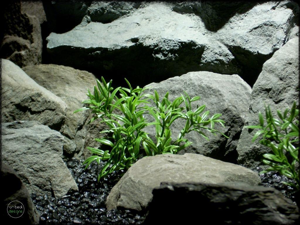 dwarf hygrophila artificial aquarium plants | ron beck designs pap273 2