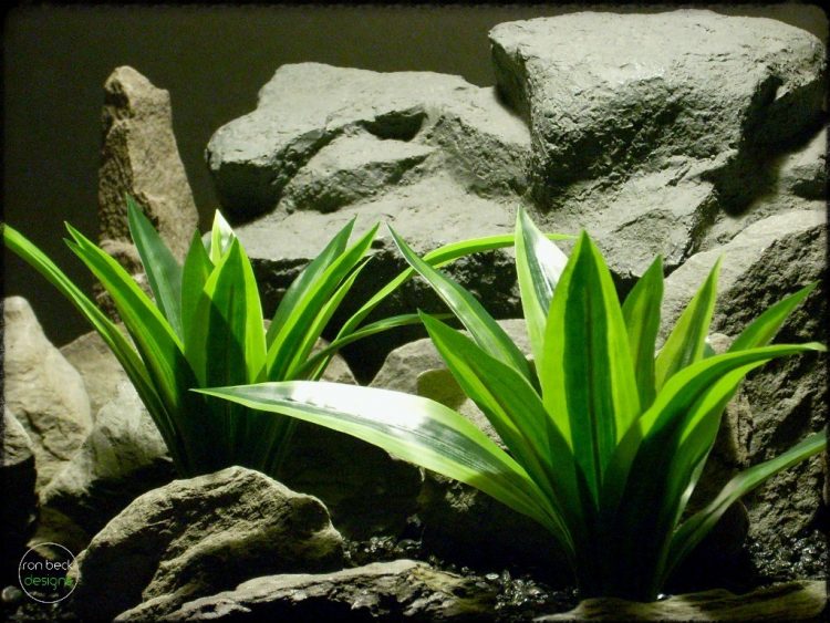 Artificial Dracaena Fragraus - Silk Reptile Plants srp278 2