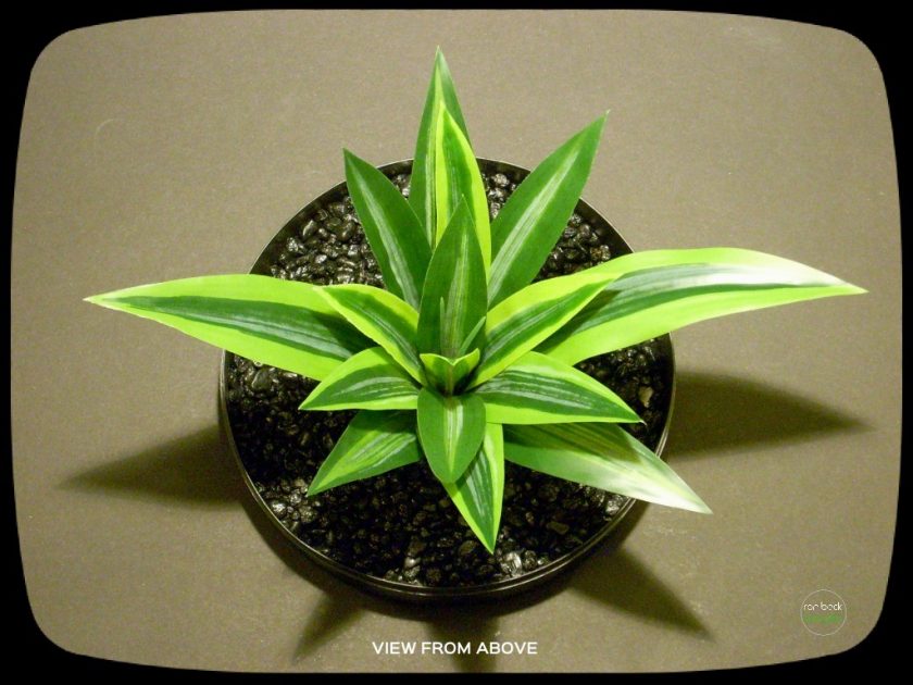 Artificial Dracaena Fragraus Artificial Silk Reptile Amphibian Plants