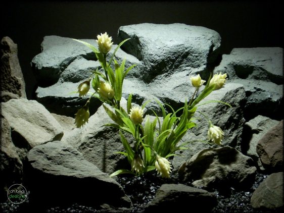 Artificial Protea plant - artificial reptile amphibian plant prp281