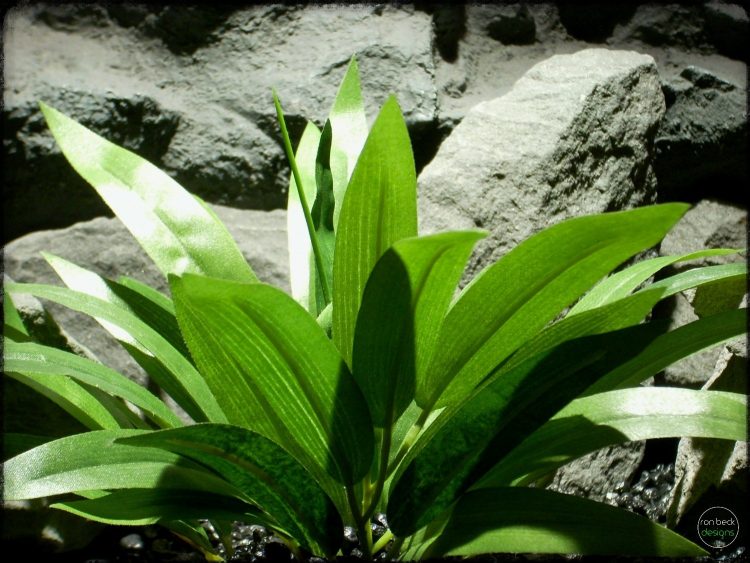 Silk Palm Leaves - Artificial Silk Reptile Plants srp277 2