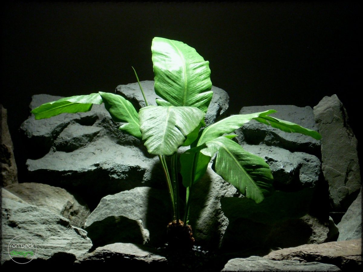 Custom Order Silk Banana Leaves Artificial Silk Reptile Plants.