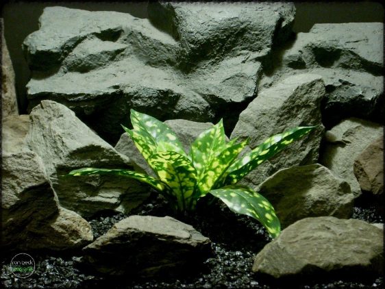 sloppy painter croton - artificial silk reptile plant srp280