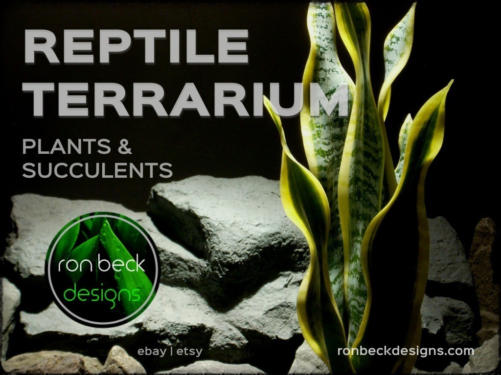 Artificial Reptile Terrarium Plants Succulents - ron beck designs 1024 768