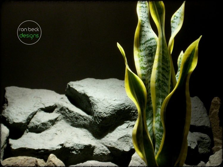 Artificial Snake Plant Sansevieria - reptile plant - ron beck designs prp285 2