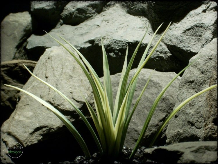 Artificial Vanilla Grass - Aquarium or Reptile Plant parp284 1024 3