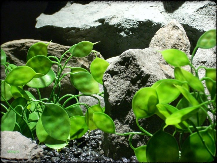 Chinese Money Plant - Artificial Aquarium Plants pap283 4