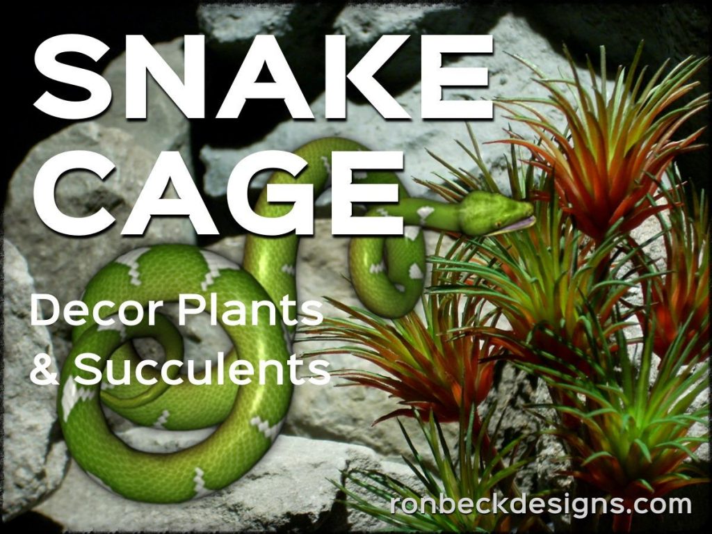 Snake Cage Decor Plants - Succulents - Ron Beck Designs 1200 900