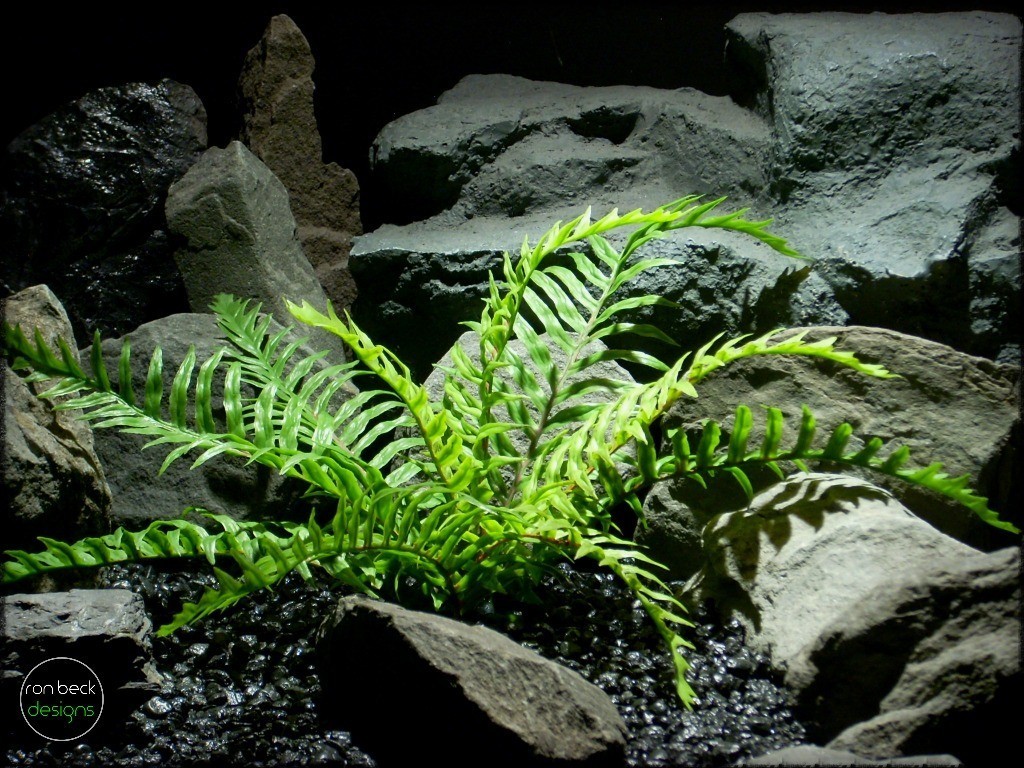 Snake Cage Decor Plants - artificial fern - Ron Beck Designs