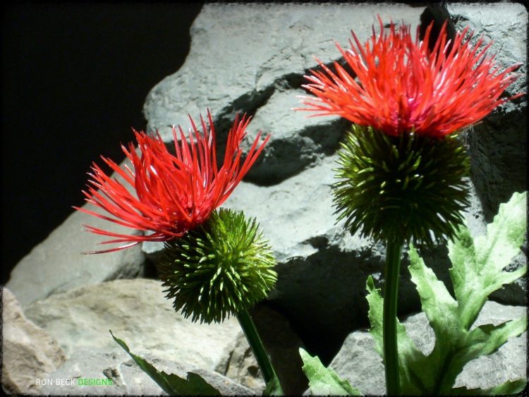 Artificial Cactus Flower - Artificial Reptile Amphibian Plant Cactus prp295 3