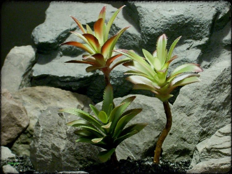 Artificial Succulents Plot - Artificial Reptile Decor Plants prp293 2
