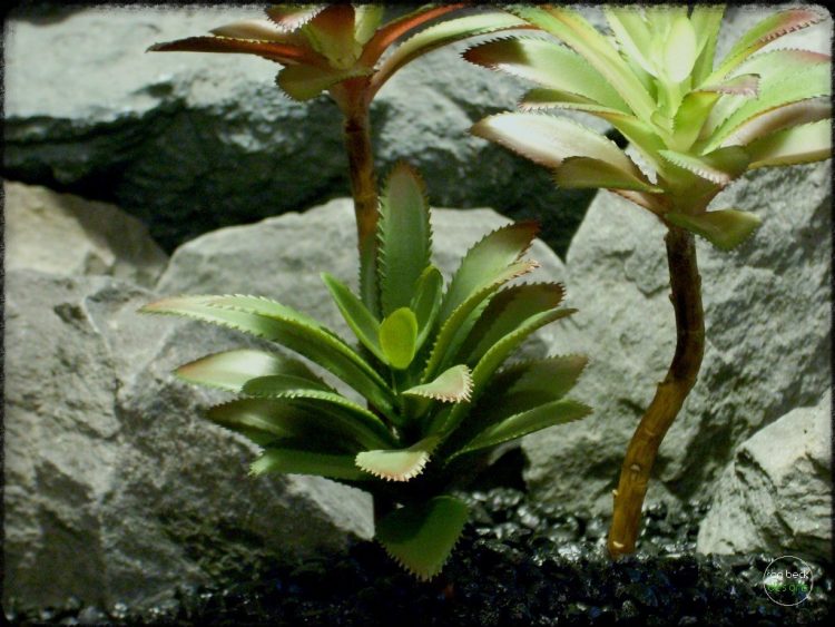 Artificial Succulents Plot - Artificial Reptile Decor Plants prp293 3