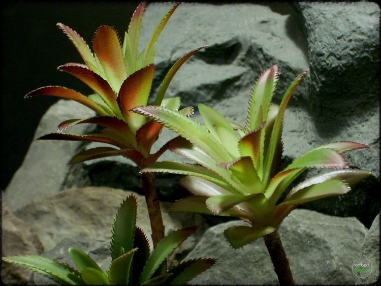 Artificial Succulents Plot - Artificial Reptile Decor Plants prp293 4