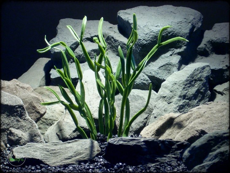 Artificial Pencil Cactus - Artificial Reptile Plant prp298 1500 1125