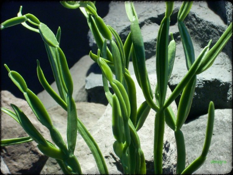 Artificial Pencil Cactus - Artificial Reptile Plant prp298 3