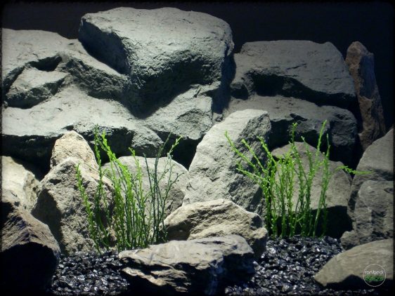 Bead Grass - Artificial Aquarium Plant parp299