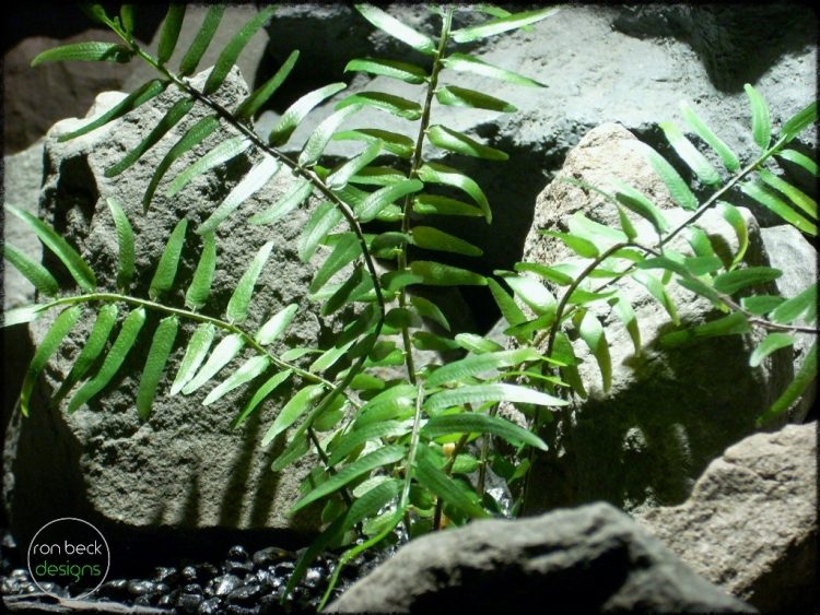 Artificial Boston Fern - Artificial Reptile Plant prp307 3