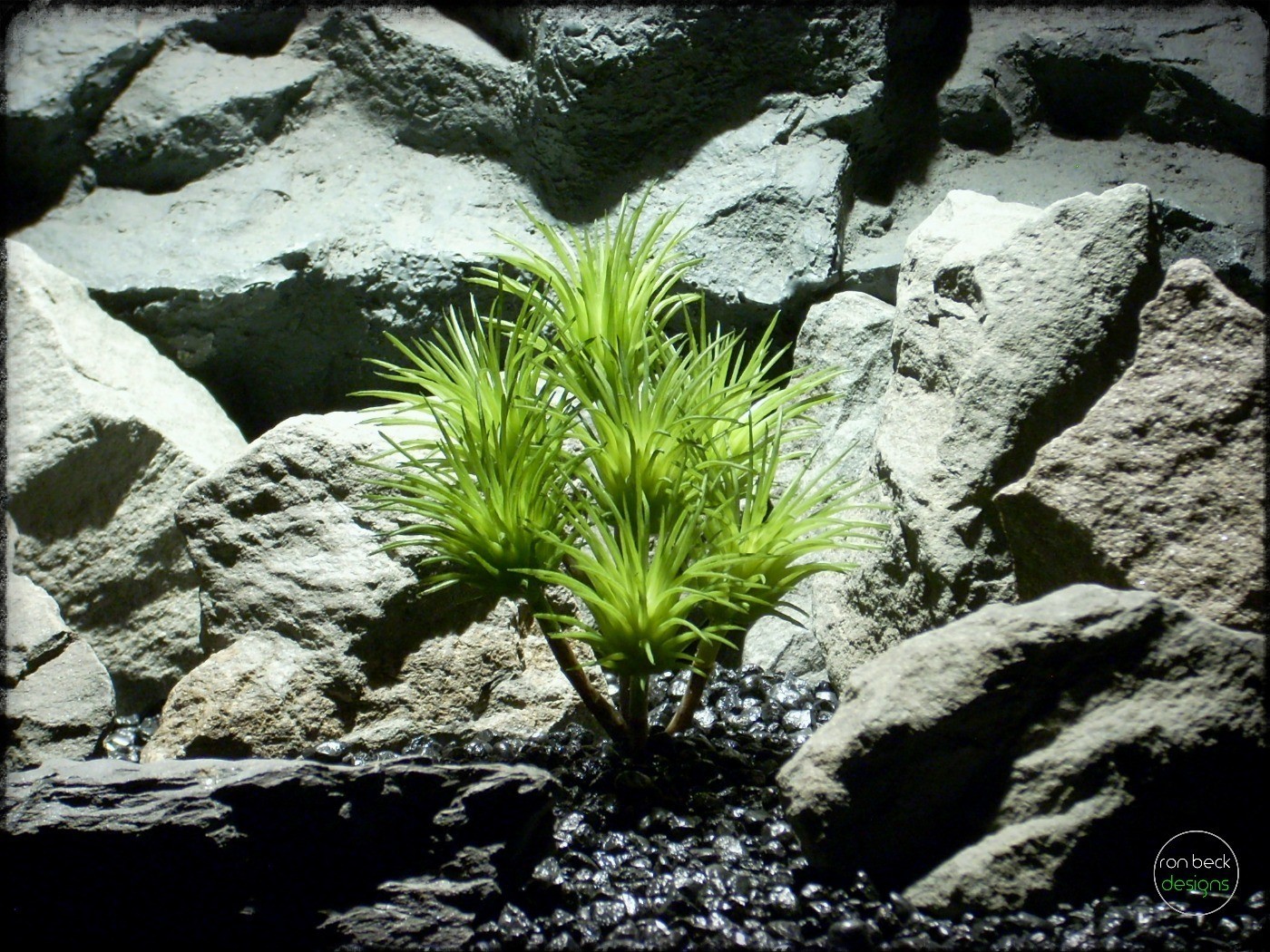 Artificial Tillandsia Ionantha - Artificial Reptile Plant prp309 2