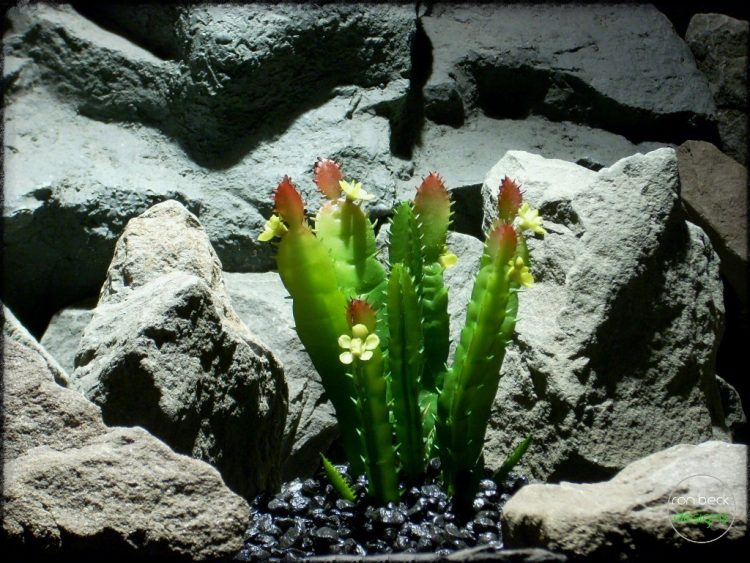 Artificial Cactus Plant - Artificial Reptile Plant - prs306 3