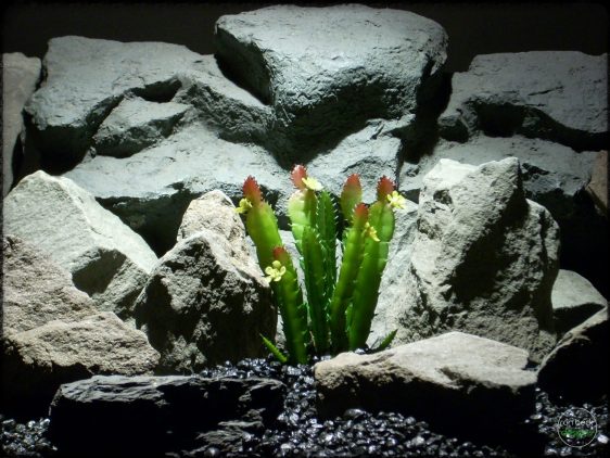 Artificial Cactus Plant - Artificial Reptile Plant - prs306