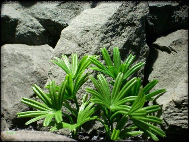 Lady Palm - Artificial Aquarium Reptile Plants - ron beck designs - parp304 3