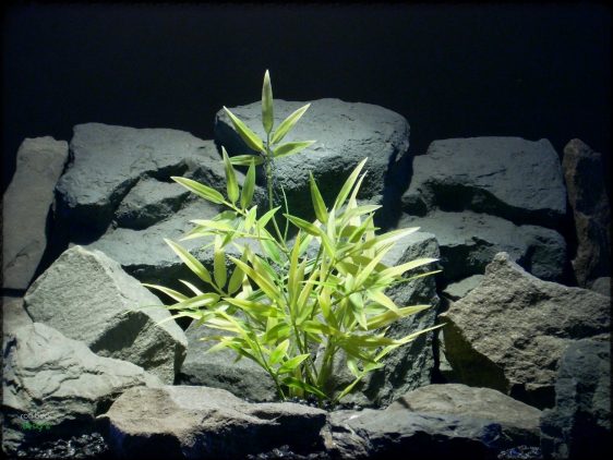 Variegated Bamboo - Artificial Aquarium Plant - parp303