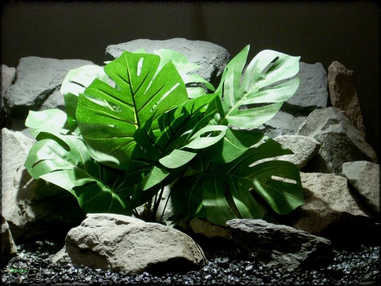 split-leaf philodendron - Artificial Silk Reptile Plant - srp305
