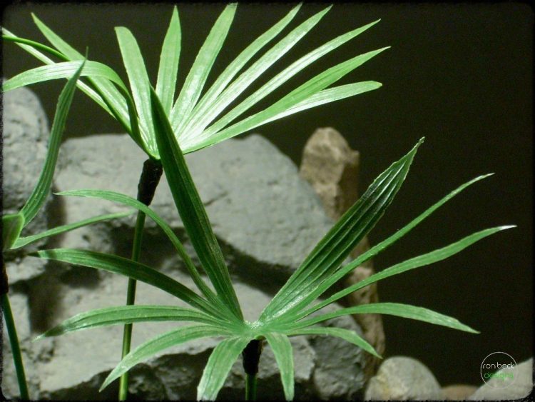 Artificial Papyrus Plant - Artificial Reptile Plant - Ron Beck Designs - prp310 3