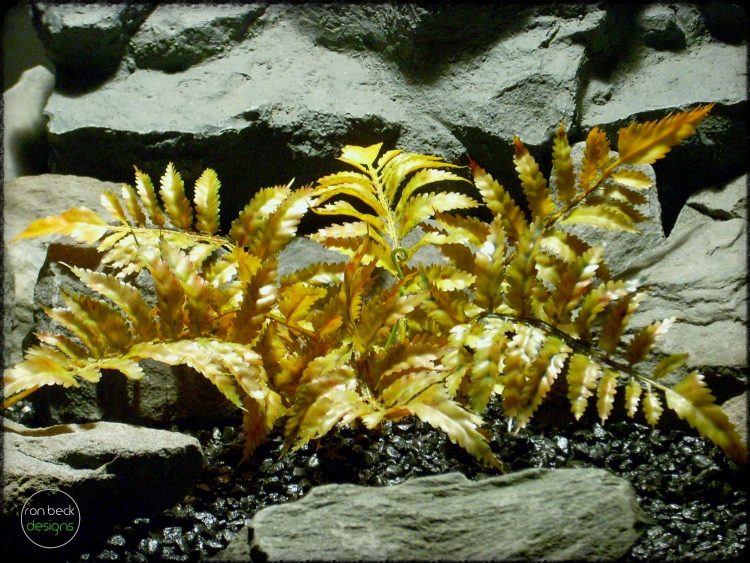 Forest Fern - Artificial Reptile Plant - Ron Beck Designs prp311 2
