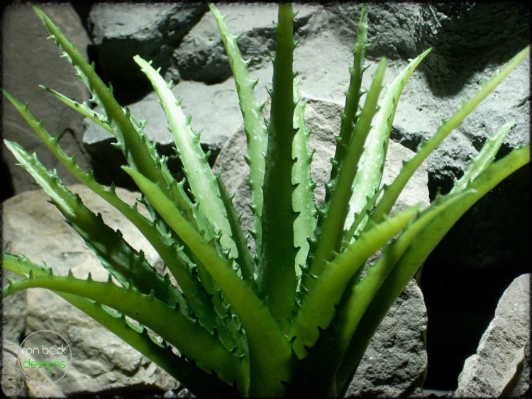 Artificial Aloe Vera Succulent - Artificial Reptile Plant - prp316 3