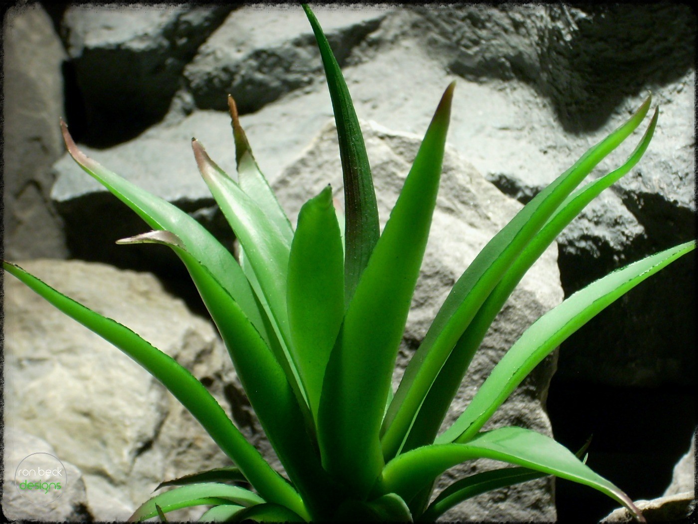 Artificial Aloe Succulent - Artificial Reptile Plant - prp317 2