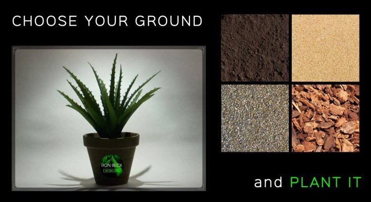 Choose your ground - Artificial Aloe Vera Succulent - Planted